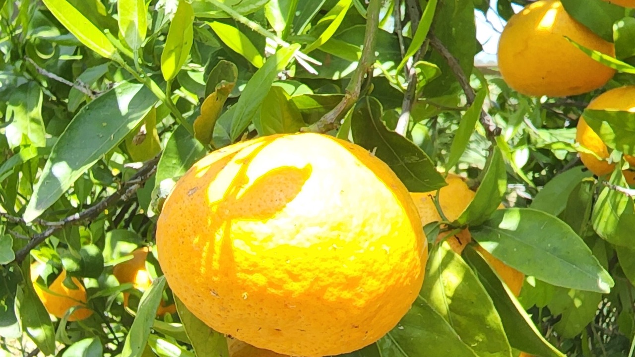 Photo of Outdoor in Cherry Valley