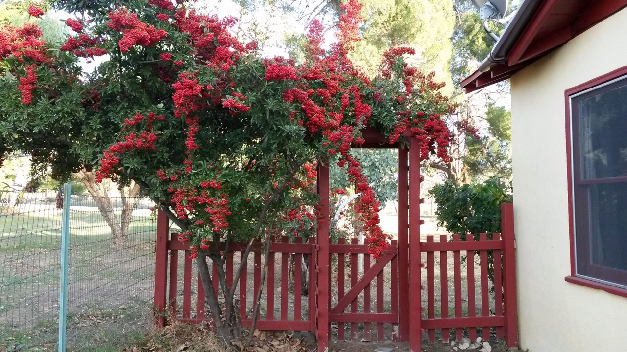 Photo of Outdoor in Cherry Valley