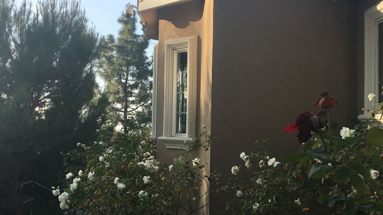 Photo of Outdoor in La Habra Heights