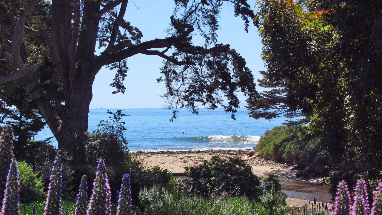 Photo of Others in Carpinteria