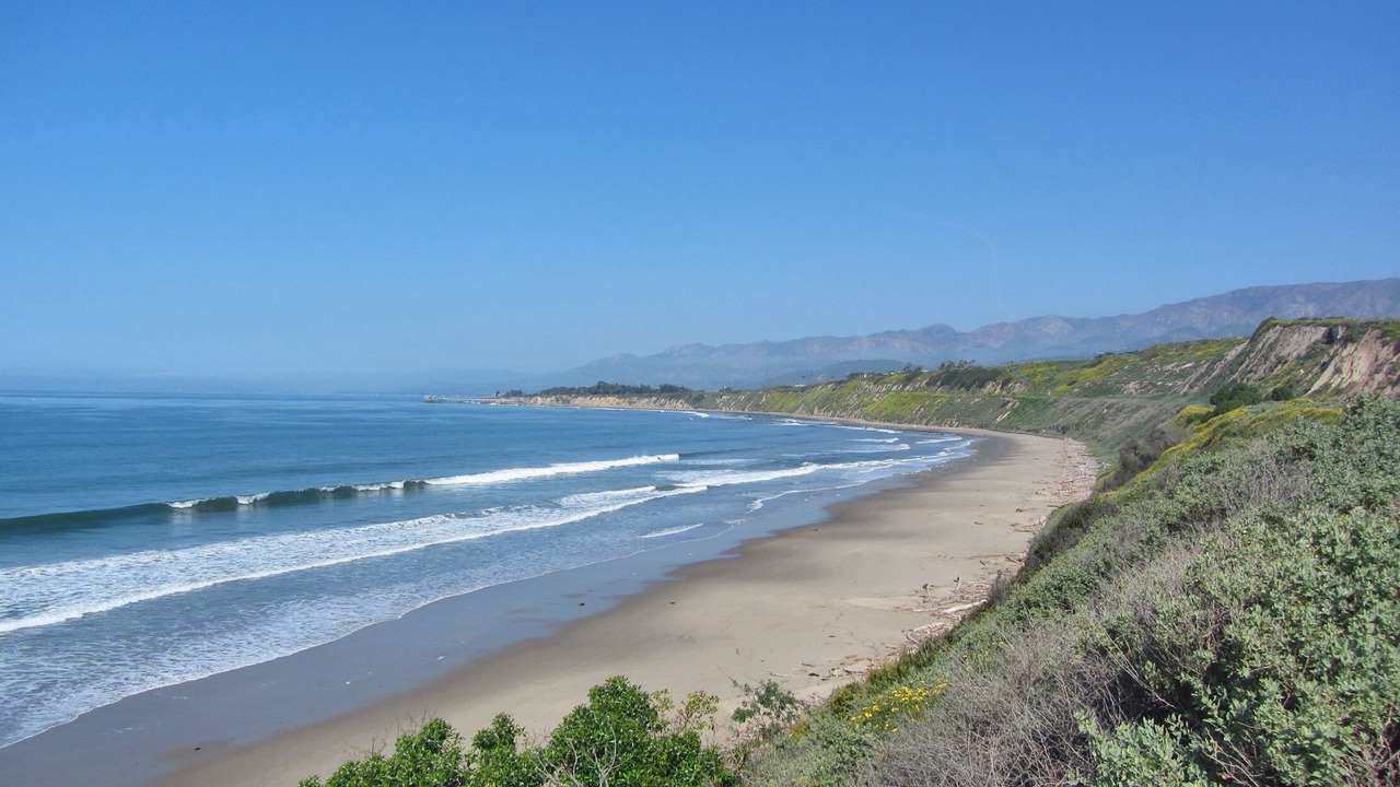 Photo of Others in Carpinteria