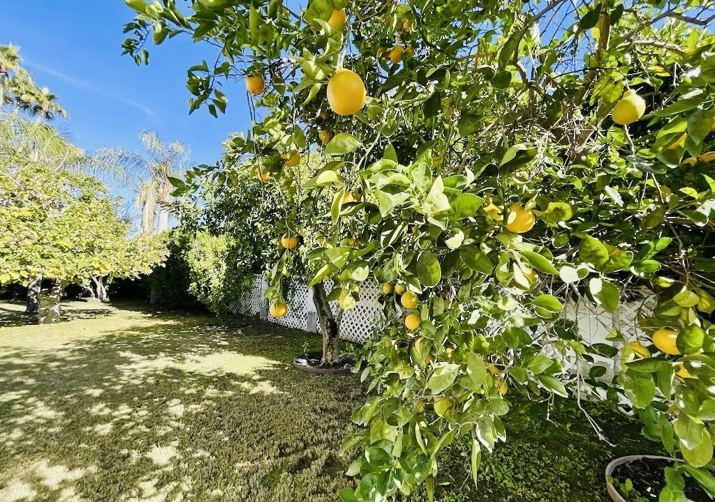 Photo of Outdoor in Palm Desert