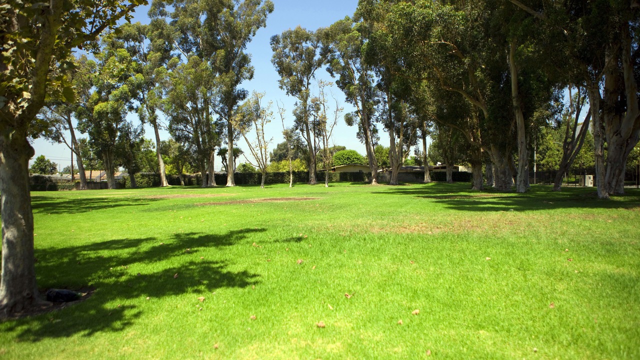 Photo of Others in Hermosa Village