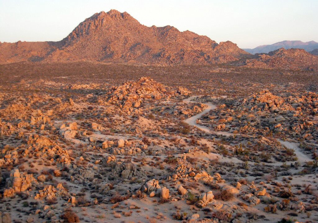Photo of Others in Joshua Tree