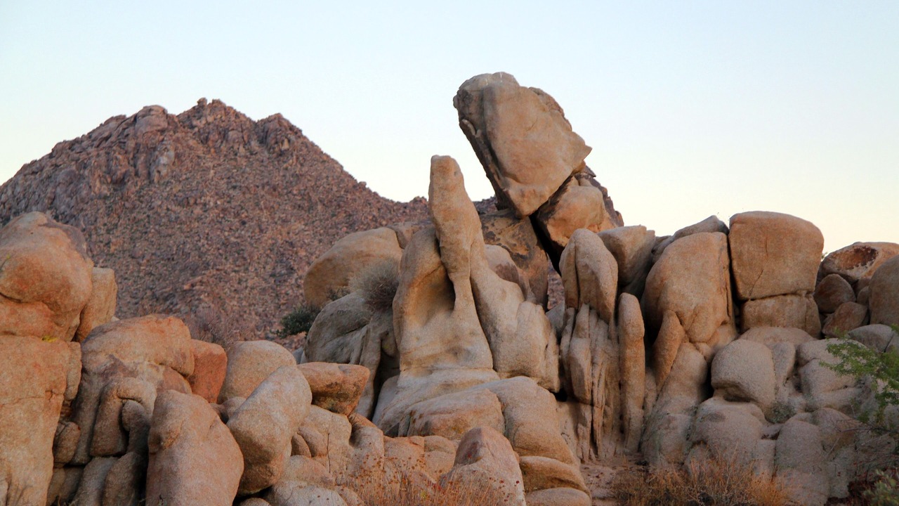 Photo of Outdoor in Joshua Tree