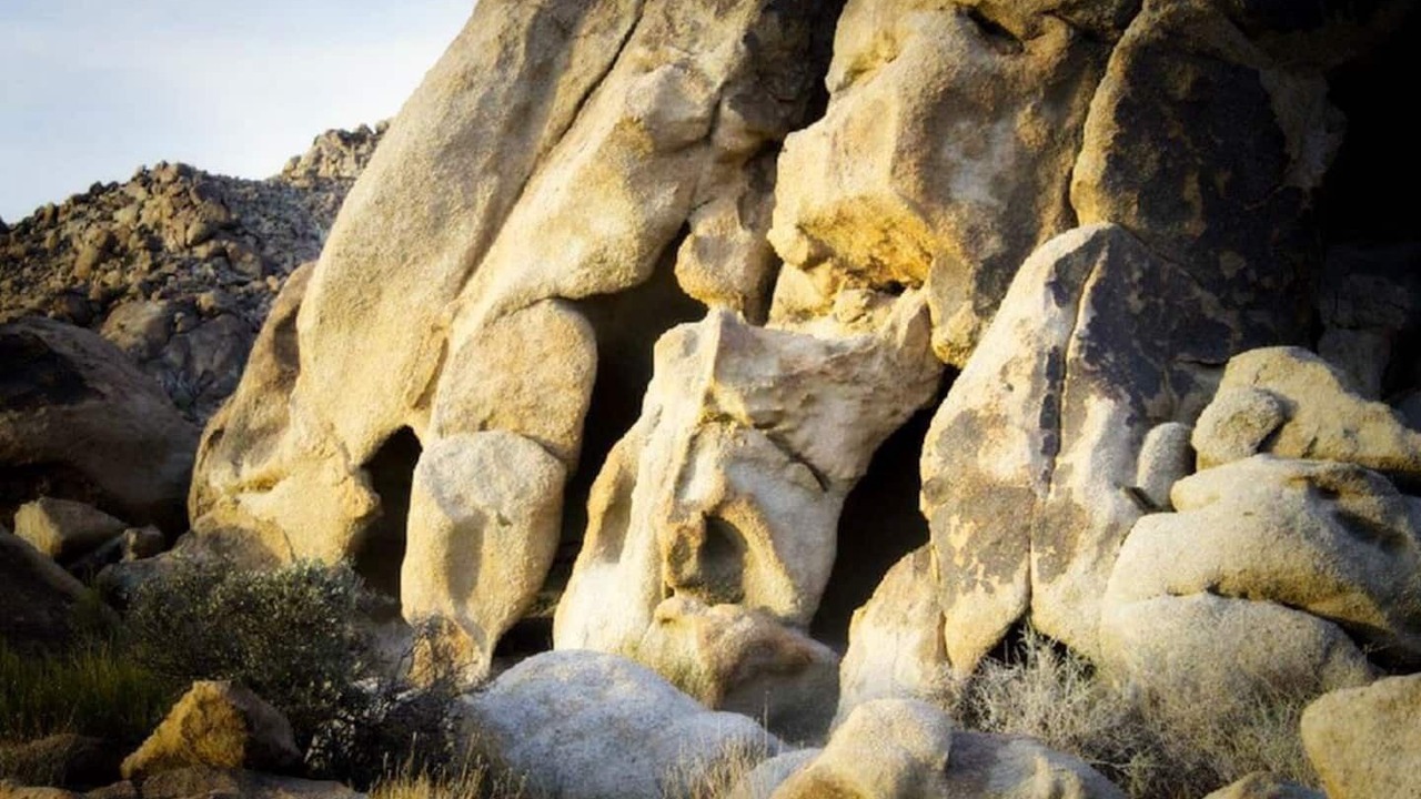 Photo of Outdoor in Joshua Tree