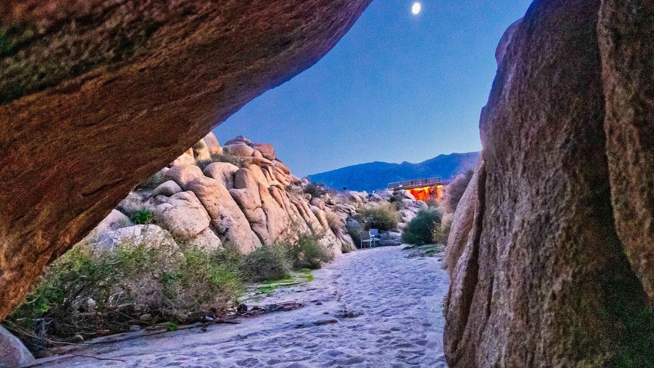 Photo of Others in Joshua Tree