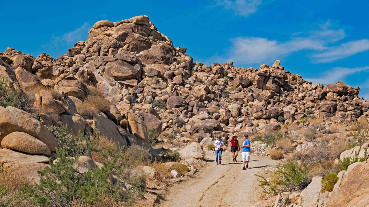Photo of Others in Joshua Tree