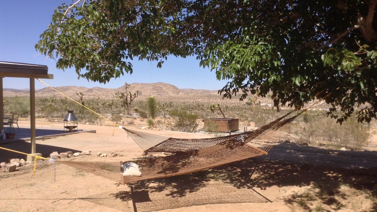 Photo of Others in Joshua Tree