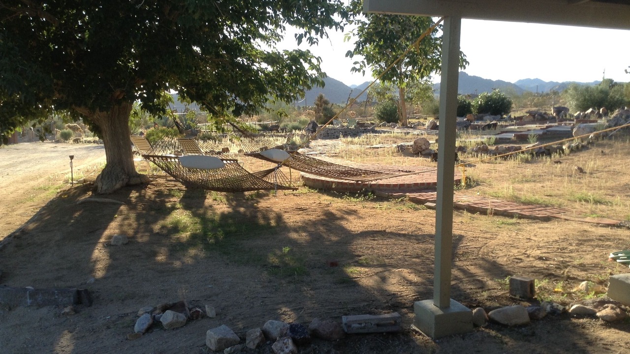 Photo of Others in Joshua Tree