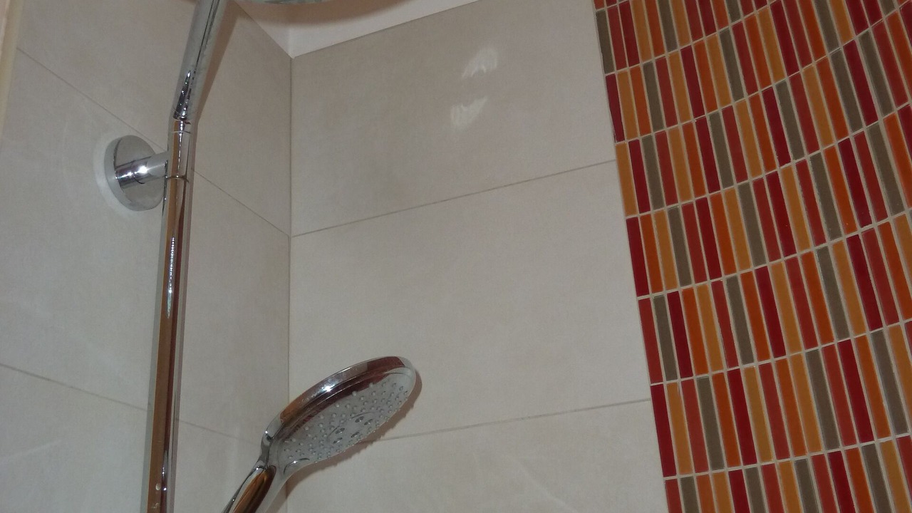 Photo of Bathroom in Ravenscourt Park