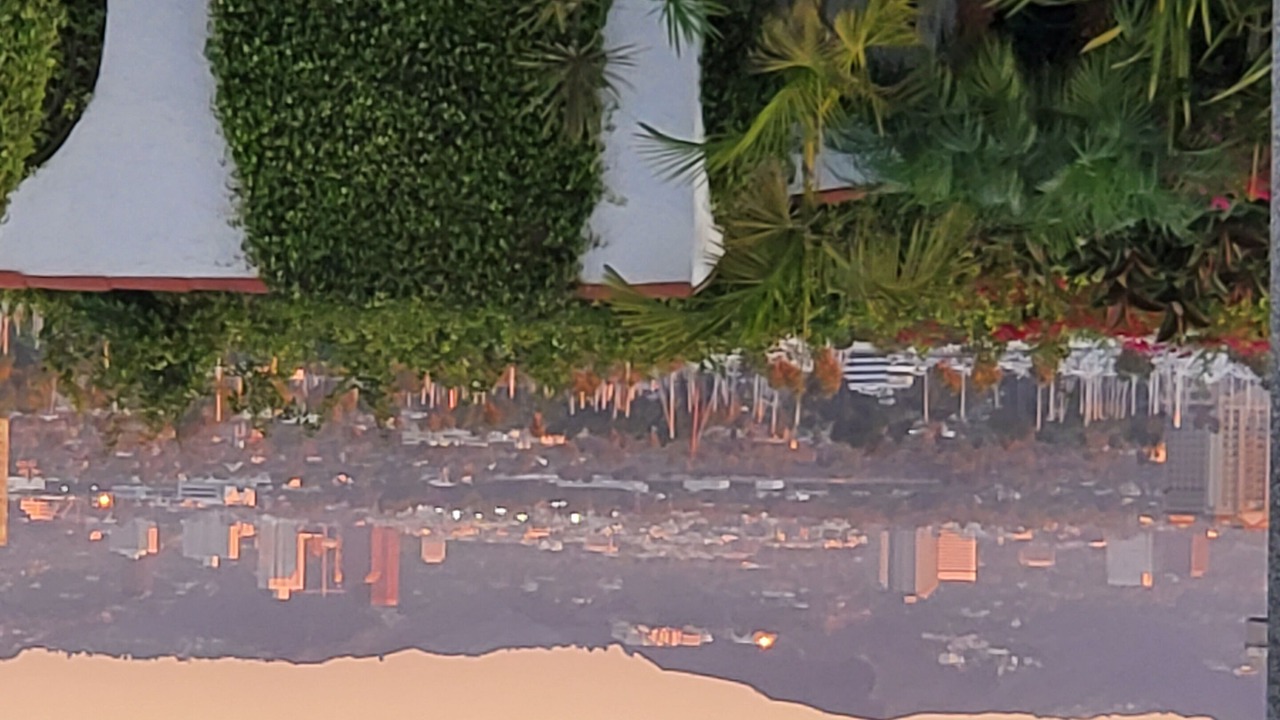Photo of Others in Playa Del Rey