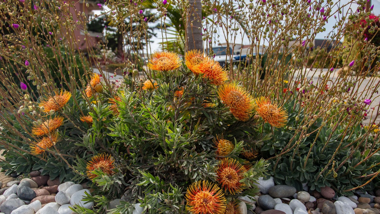 Photo of Outdoor in Playa Del Rey