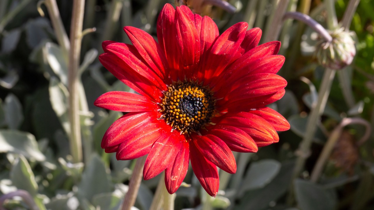 Photo of Outdoor in Playa Del Rey