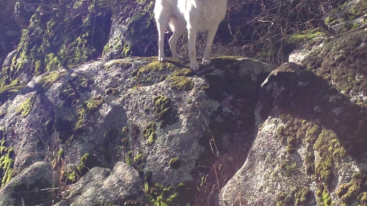 Photo of Outdoor in Coarsegold