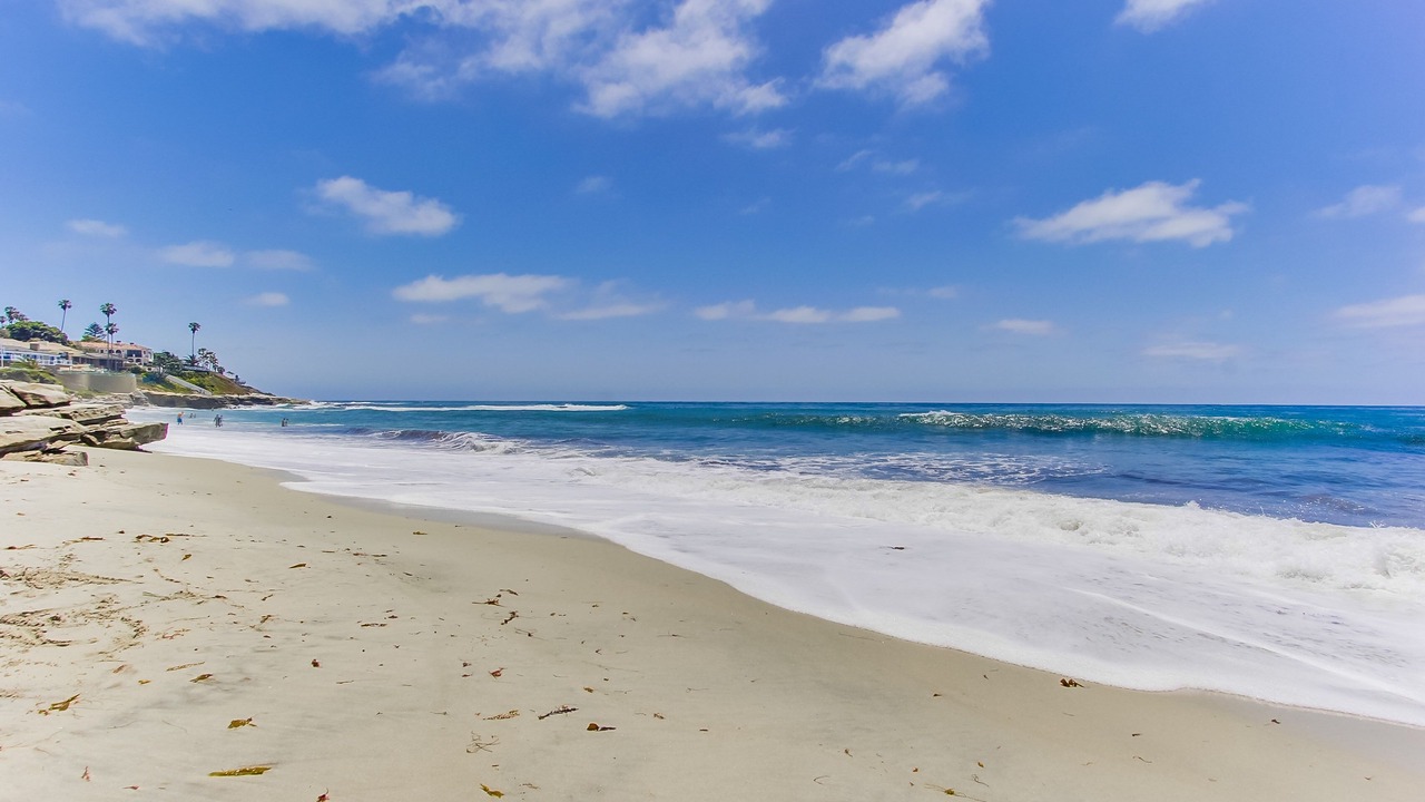 Photo of Others in Beach Barber Tract