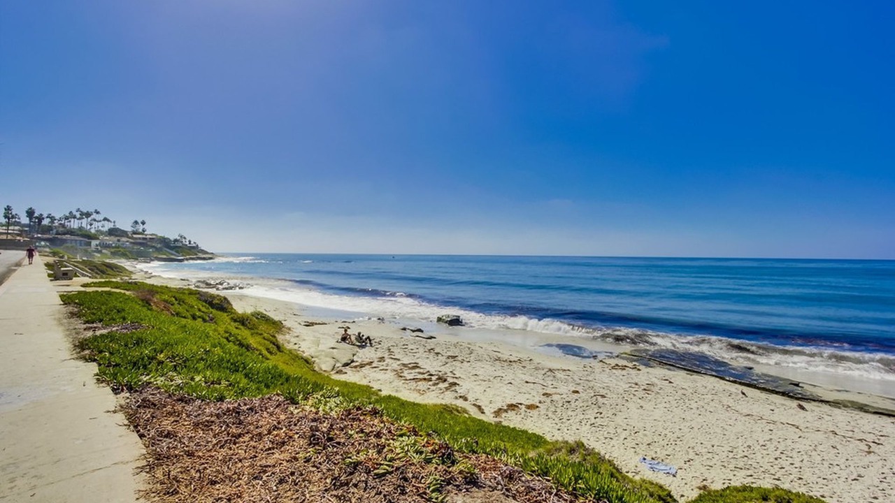 Photo of Others in Beach Barber Tract