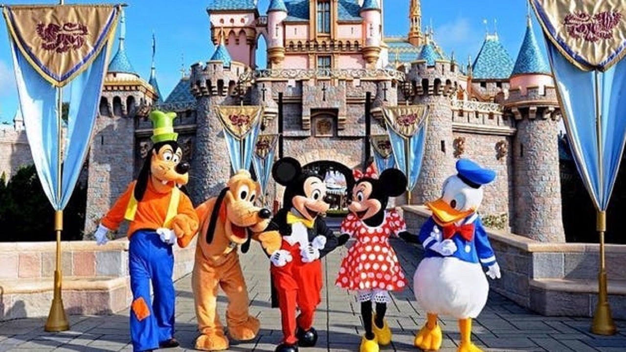 Photo of Others in Orange