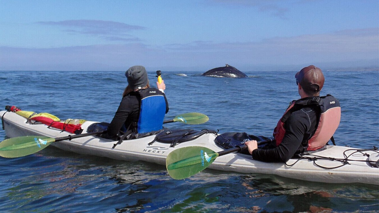 Photo of Others in Westside Santa Cruz