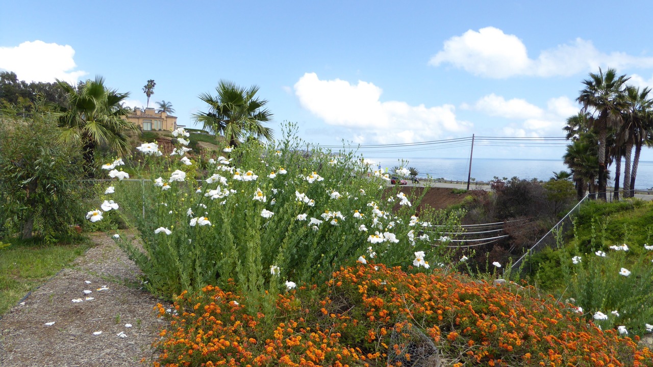 Photo of Others in Western Malibu