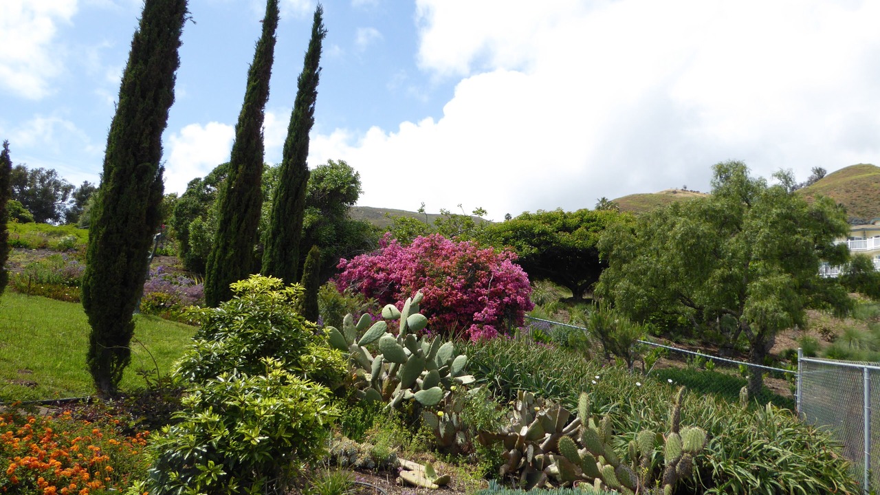 Photo of Outdoor in Western Malibu