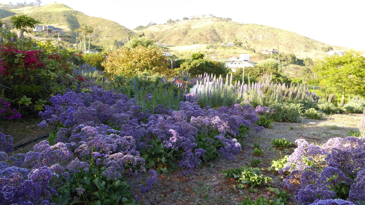 Photo of Outdoor in Western Malibu