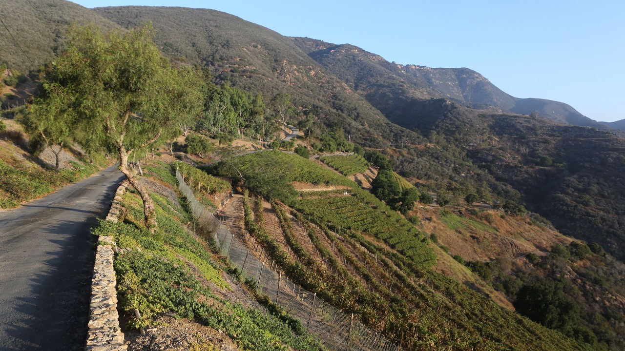 Photo of Outdoor in Western Malibu