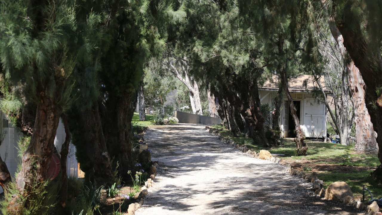 Photo of Outdoor in Western Malibu