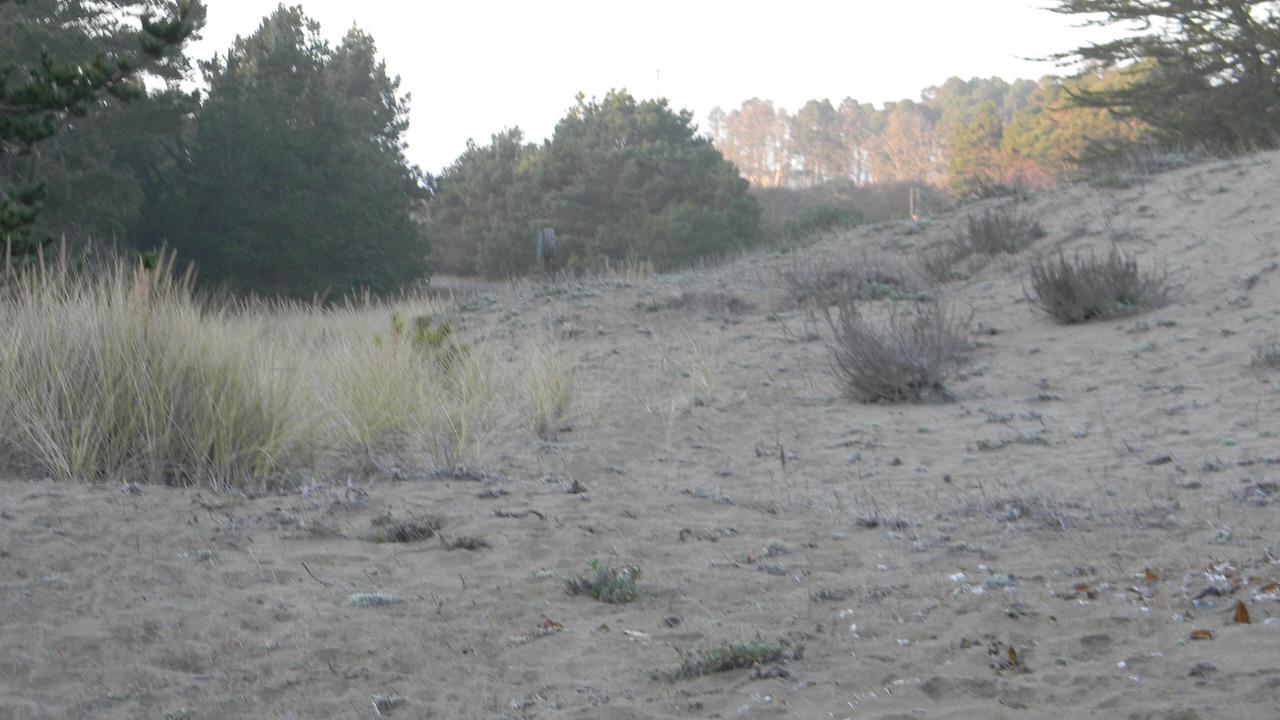 Photo of Outdoor in Cleone
