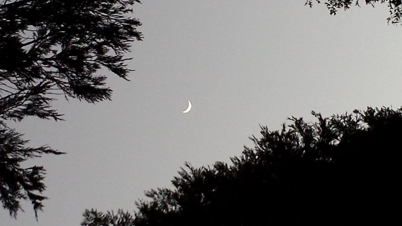 Photo of Others in Lake Arrowhead