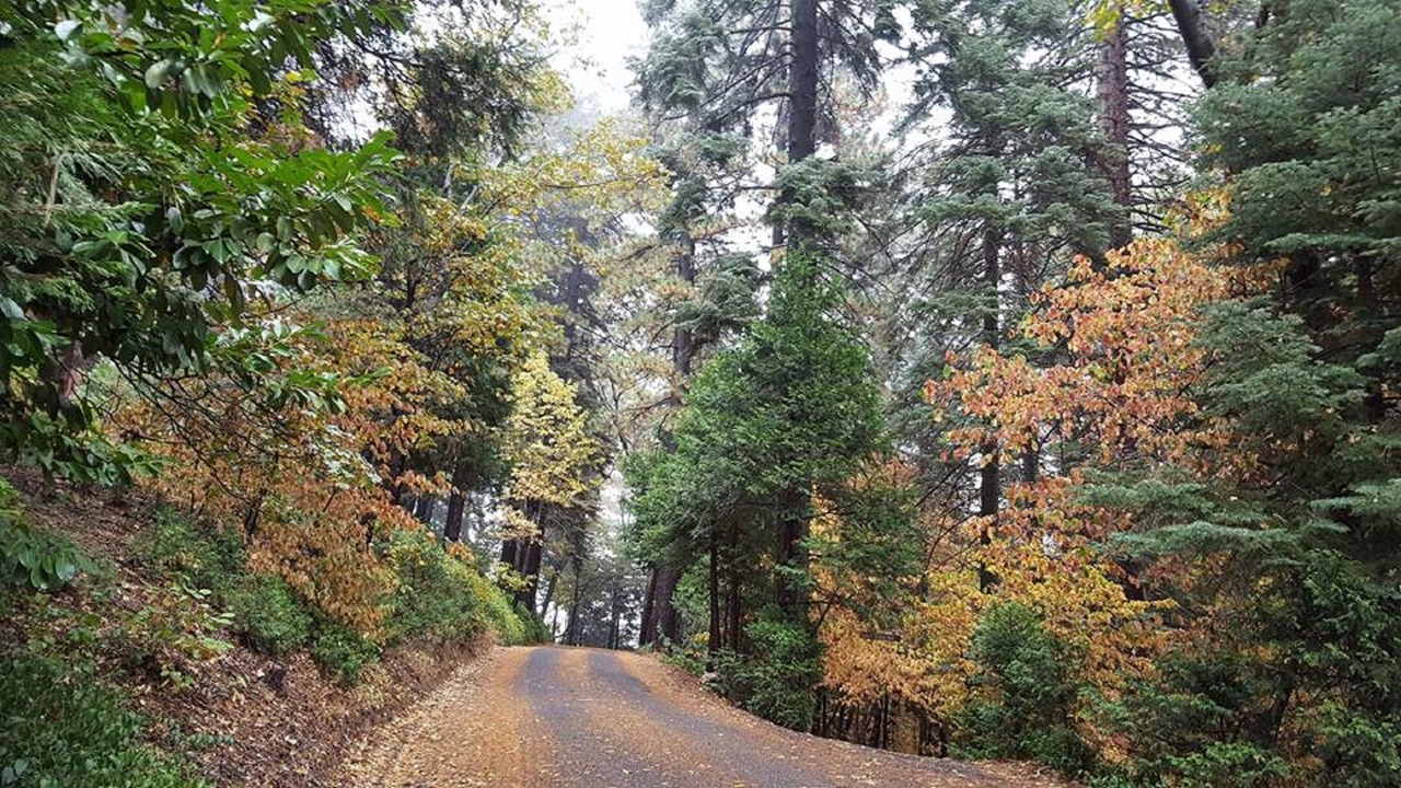 Photo of Others in Lake Arrowhead