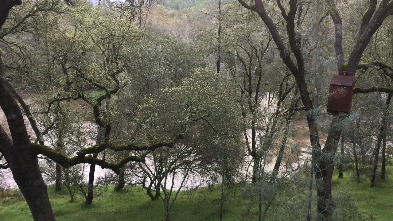 Photo of Others in Browns Valley