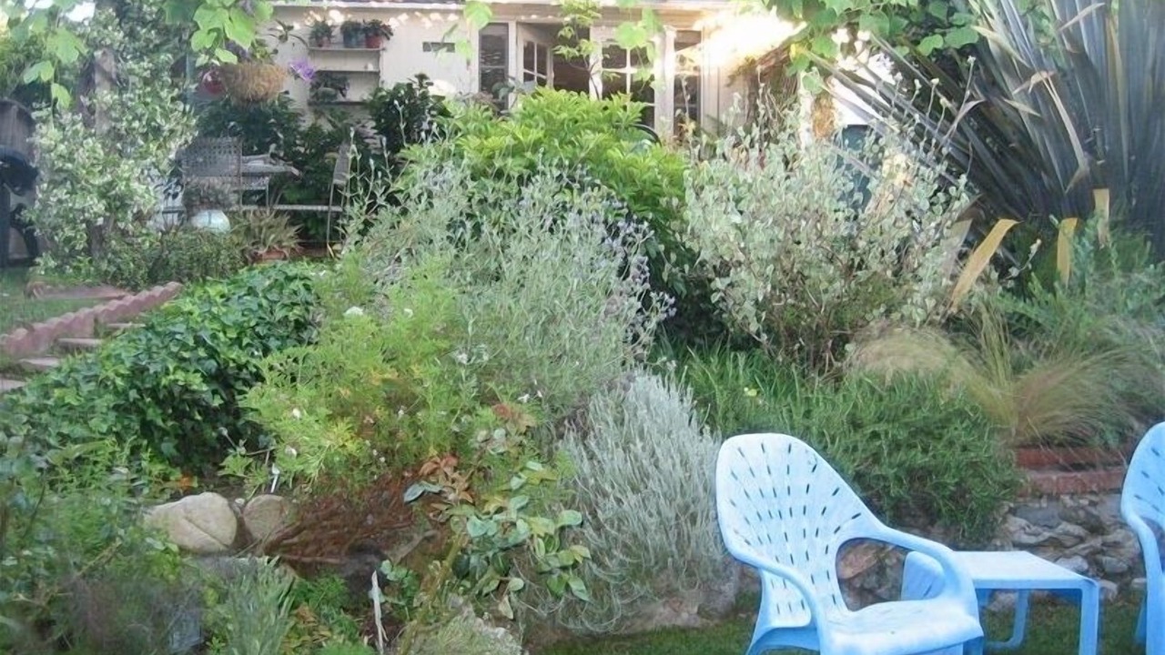 Photo of Outdoor in Laguna Beach