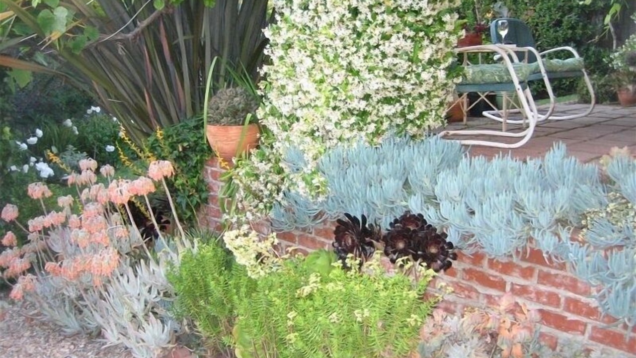 Photo of Outdoor in Laguna Beach