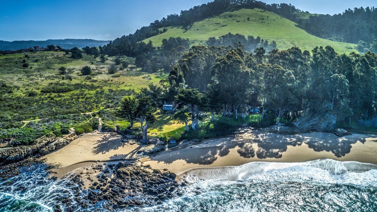 Photo of Others in Carmel