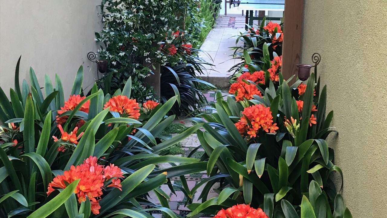 Photo of Outdoor in Beach Barber Tract