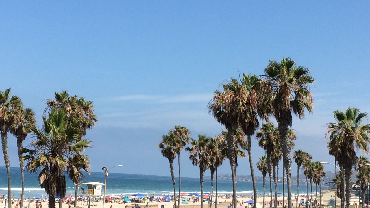 Photo of Others in South Mission Beach