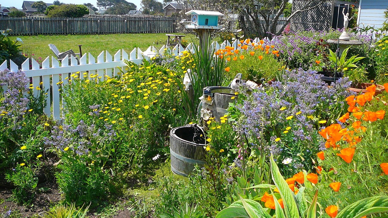 Photo of Outdoor in Mendocino