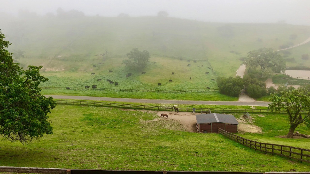 Photo of Others in Santa Ynez