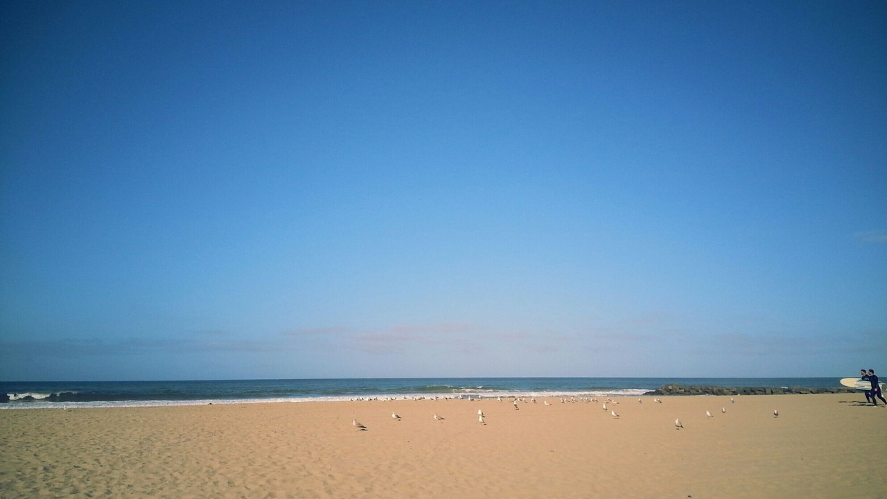 Photo of Others in Balboa Peninsula
