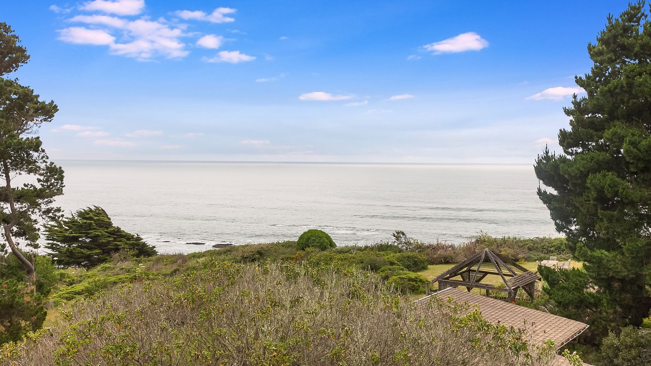 Photo of Others in Bolinas