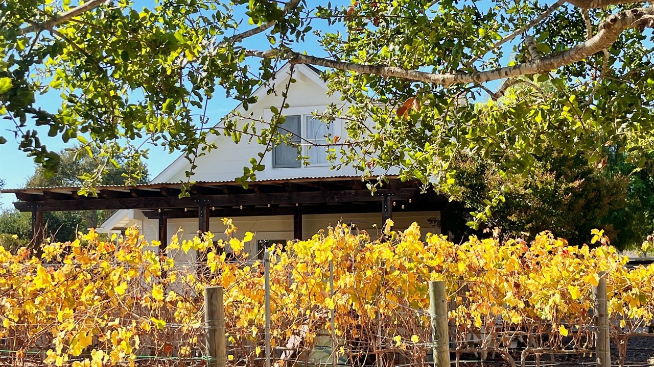 Photo of Outdoor in Santa Ynez