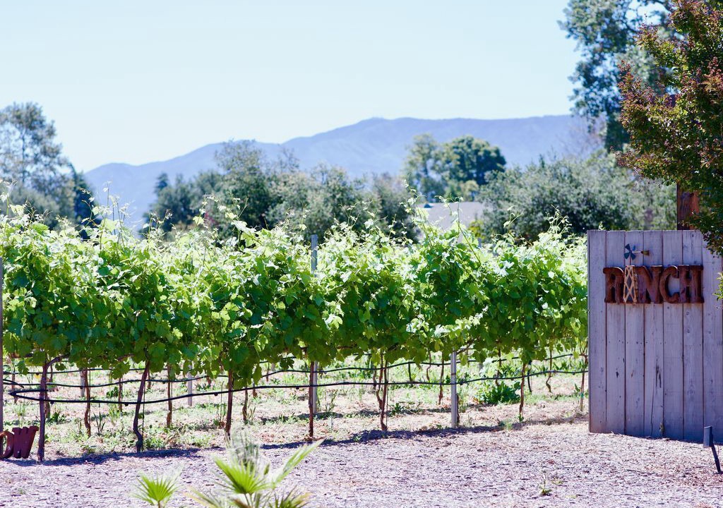 Photo of Others in Santa Ynez