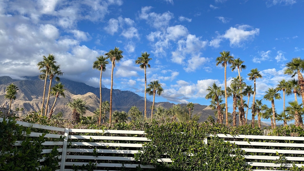 Photo of Others in Racquet Club Estates