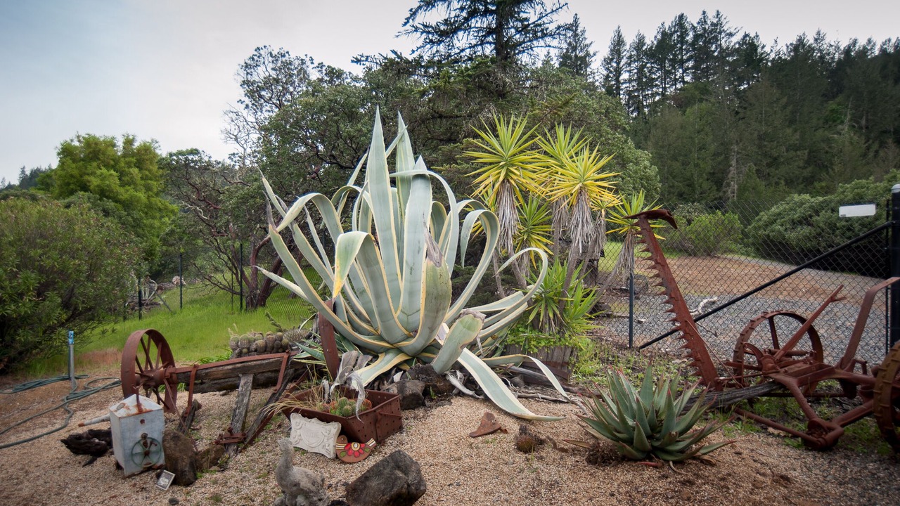 Photo of Outdoor in Cloverdale