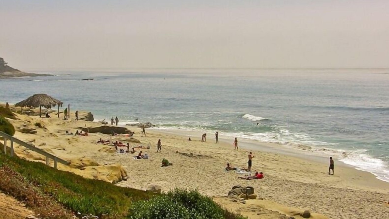 Photo of Others in Beach Barber Tract