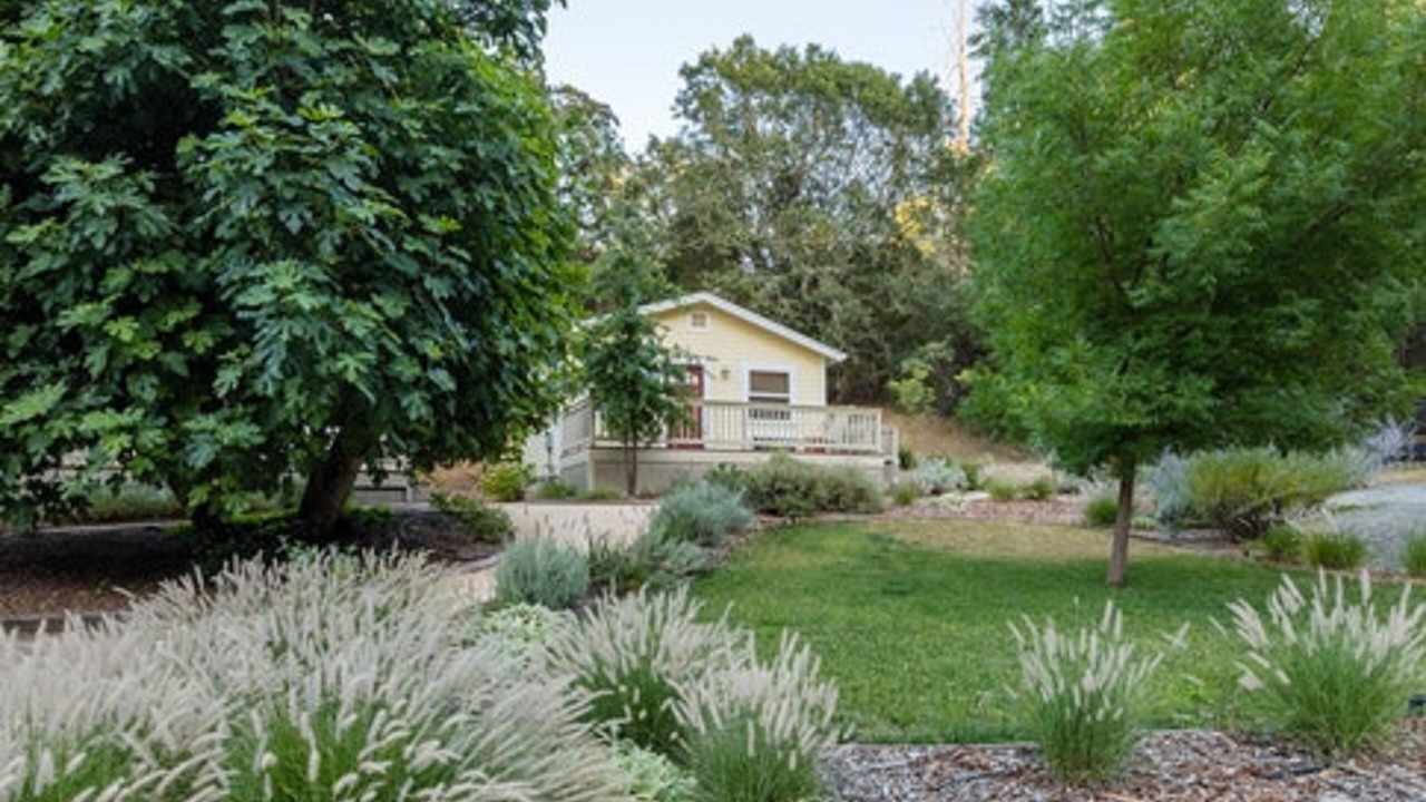 Photo of Outdoor in Calistoga