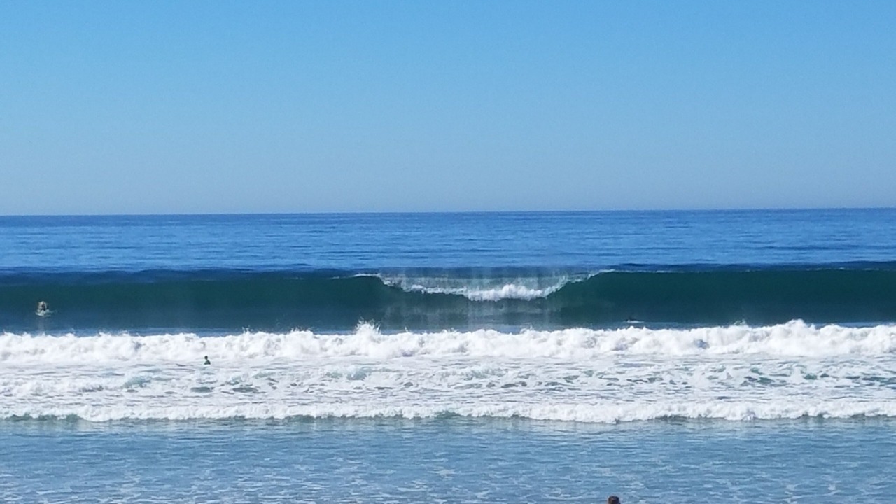 Photo of Others in La Jolla Shores