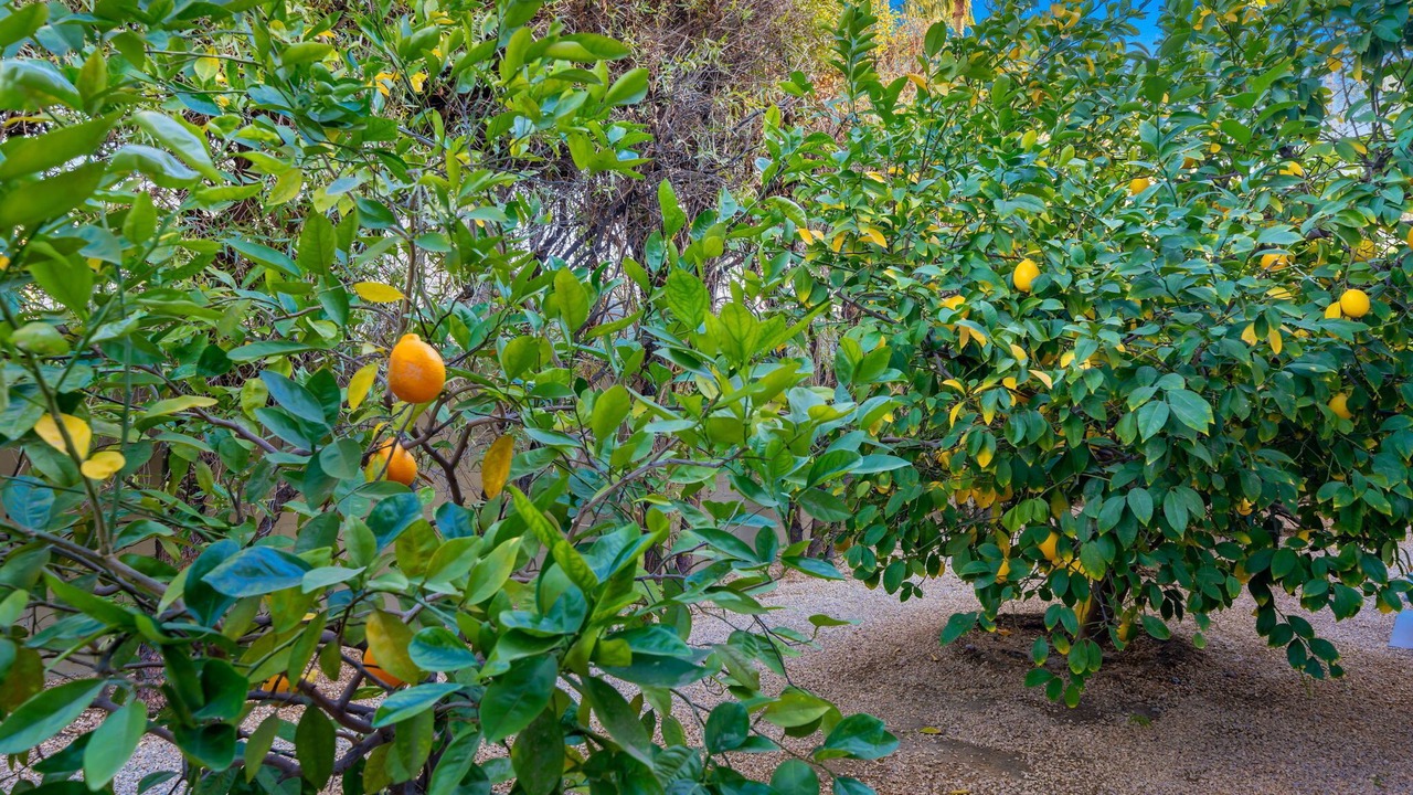 Photo of Outdoor in El Mirador