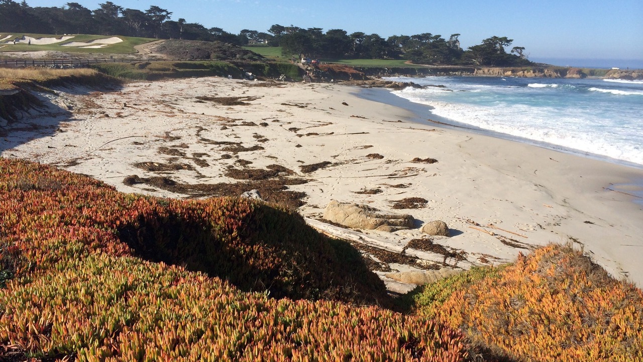 Photo of Others in Pebble Beach